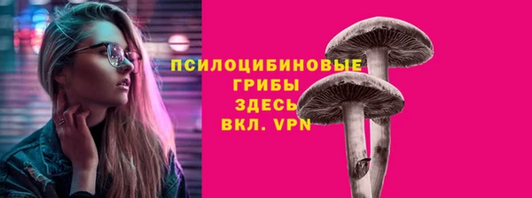 прущая мука Кулебаки