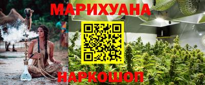 сатива Гусиноозёрск