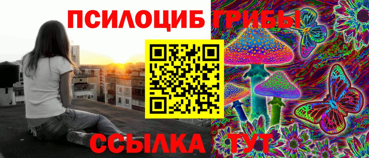 Галлюциногенные грибы Psilocybine cubensis Луга