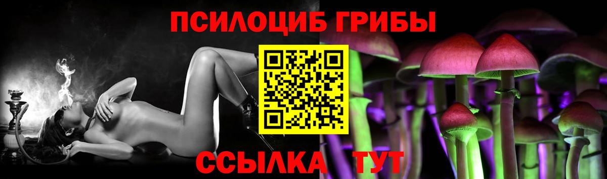 Луга  Псилоцибиновые грибы Psilocybe  Вход с VPN 